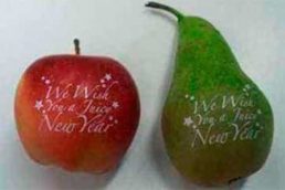 Impresión en Tampografía de Fruta Máquinas de Tampografía